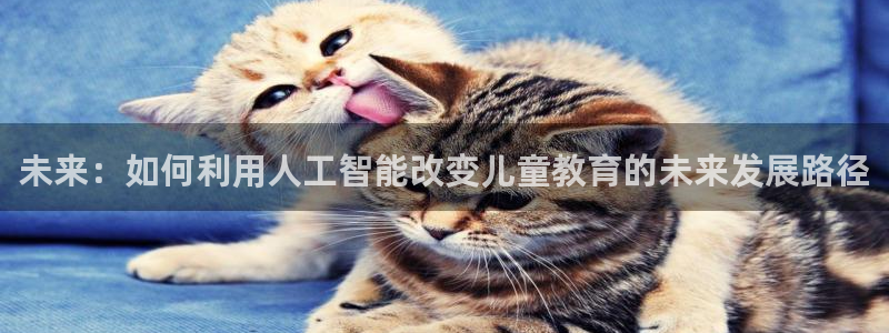 雅博电子CQ9